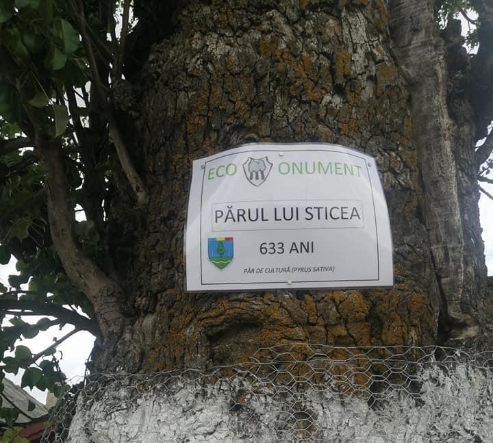 CIOHORĂNI